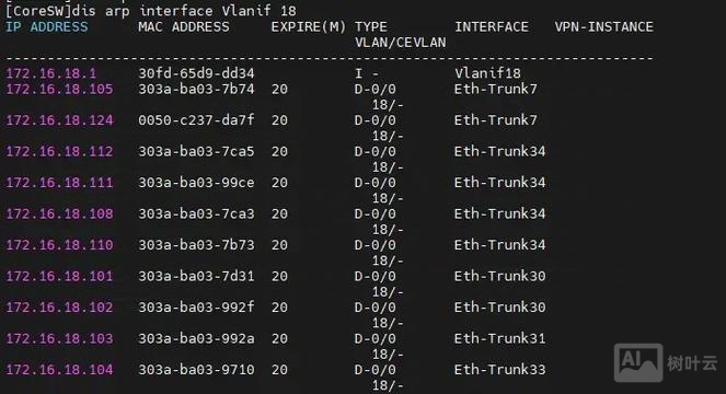 华为交换机arp命令