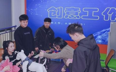 任务兔招聘，具体岗位和要求有哪些？