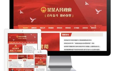 政府网站建设，关键在哪些方面？