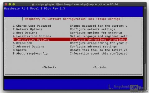 树莓派更新命令行有哪些具体操作？