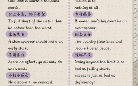 清华学霸的英语翻译该如何准确表达？