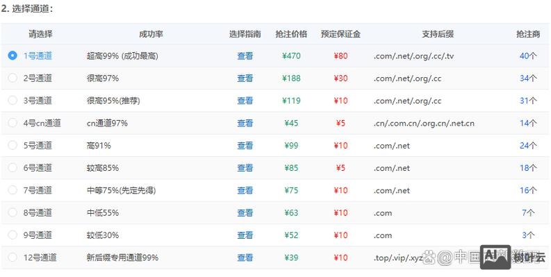 如何提前抢注到期域名