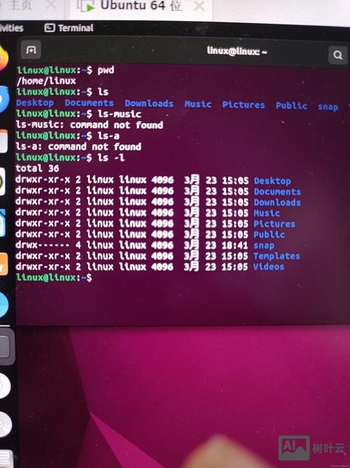 linux无法执行命令