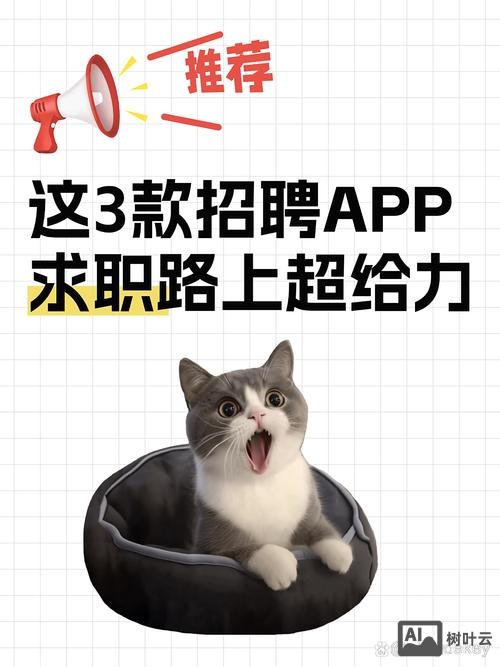 look app招聘