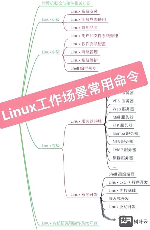 linux显示所有命令