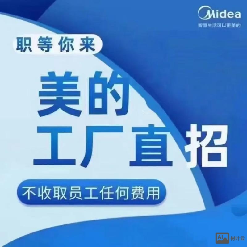 美的 it 招聘
