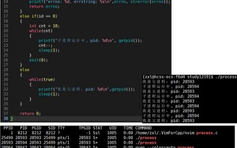 Linux杀进程命令有哪些？如何安全终止？