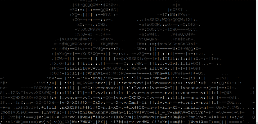php 命令行 打印