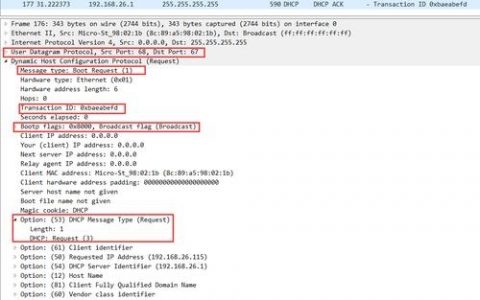 Linux Wireshark抓包命令有哪些常用参数？