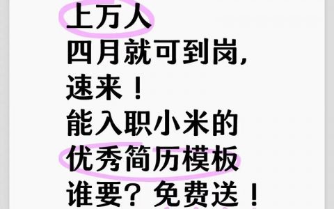 小米招聘大牛，具体要求有哪些？