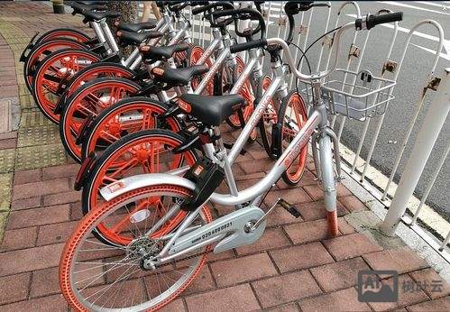 政府事务如何开始摩拜