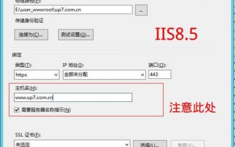 IIS设计网站，新手如何快速上手？