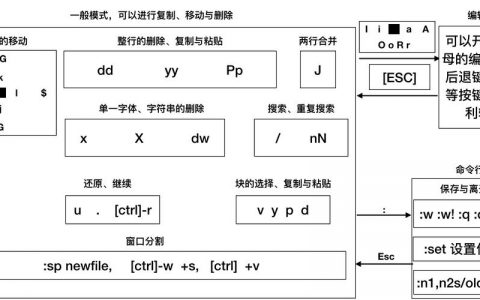 vim如何执行命令？