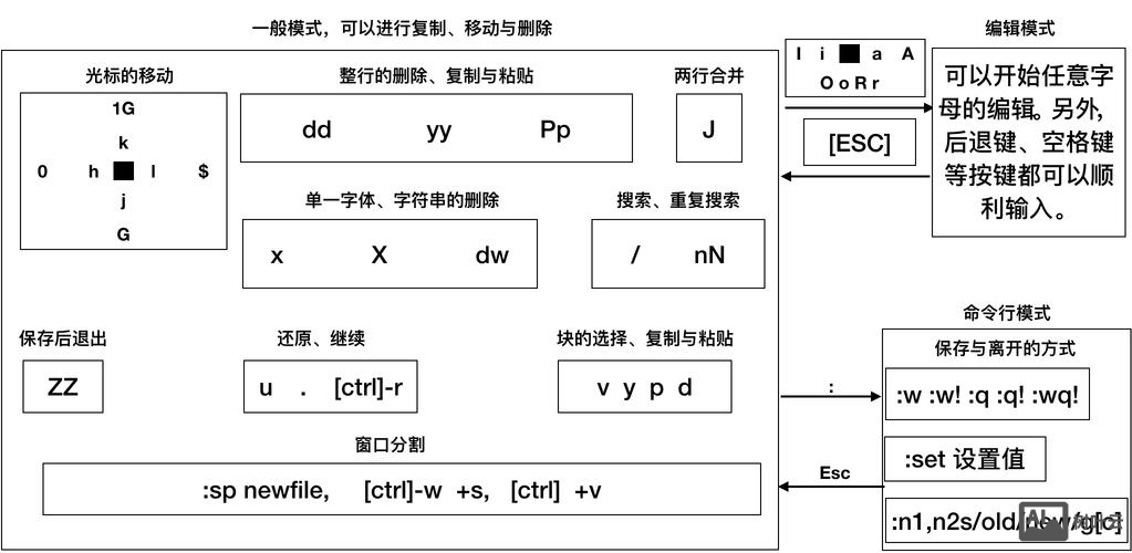 vim 怎么执行命令