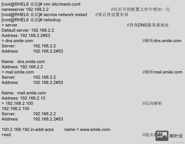 域名dns查询命令