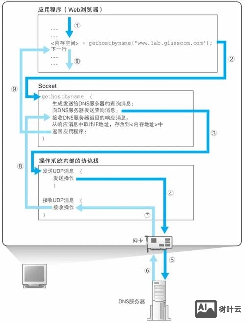 查询域名dns命令