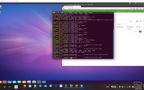 HDFS文件操作命令有哪些常用及实用技巧？