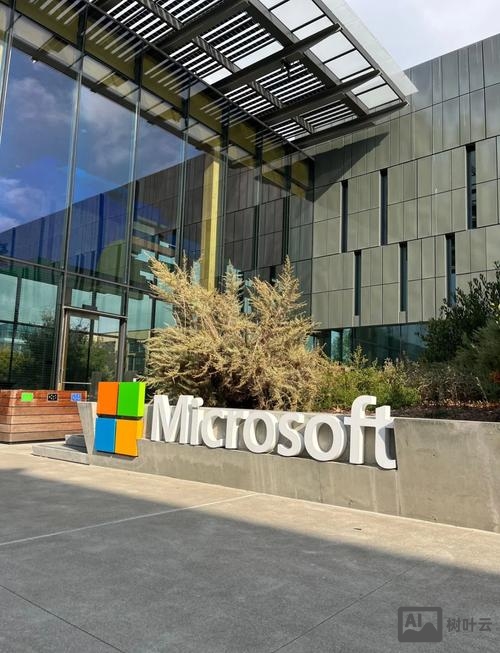 Microsoft online 招聘