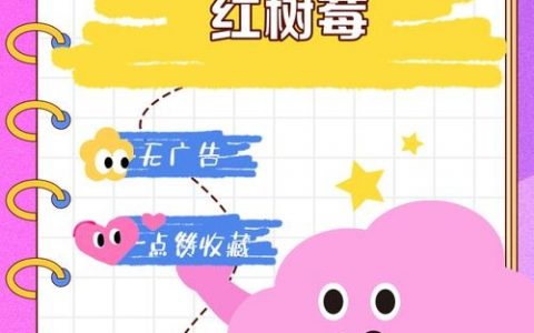 树莓精选招聘，具体岗位和要求是什么？