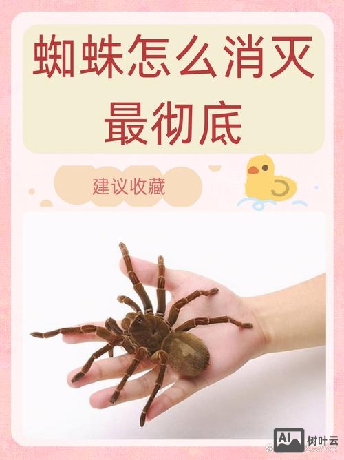 如何吸引百度蜘蛛