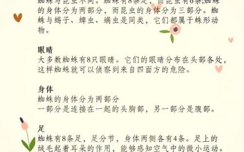 如何快速吸引百度蜘蛛抓取？