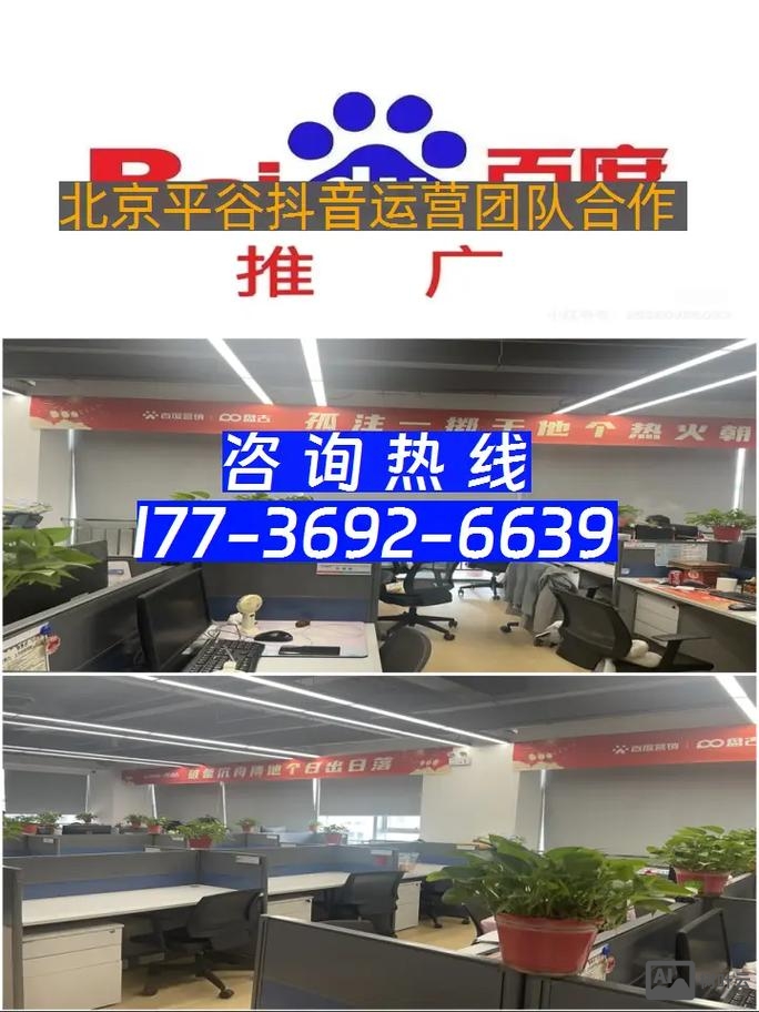 平谷网站如何做推广