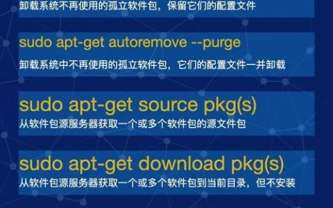Linux软件管理命令有哪些常用选项？
