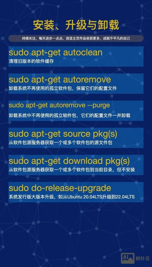 linux软件管理命令