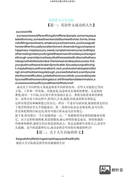 如何把握当下的英语作文