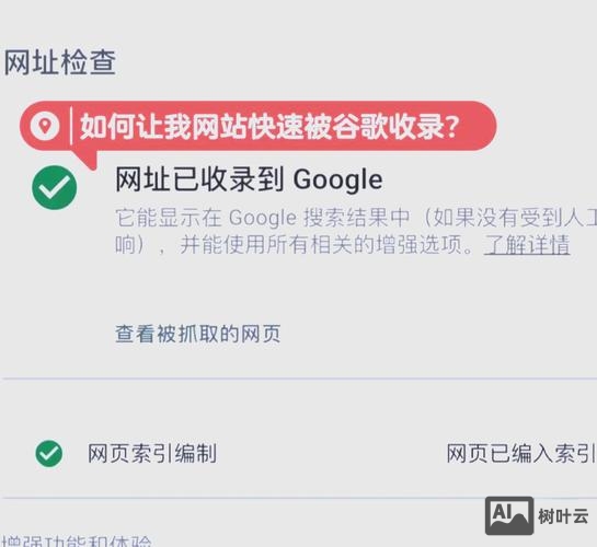 如何快速提升网站的排名