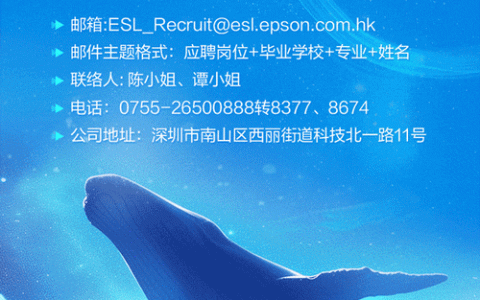 爱创立招聘什么岗位？