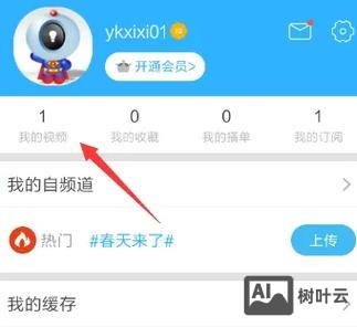 网站如何引入优酷视频