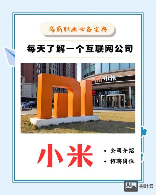 小米培训招聘