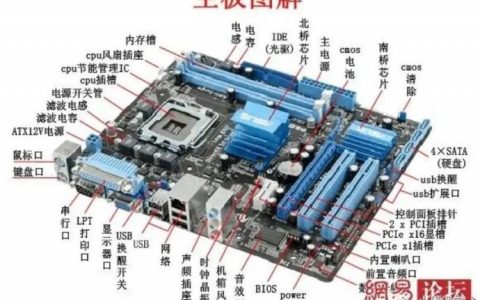 虚拟主机如何解析域名到服务器？