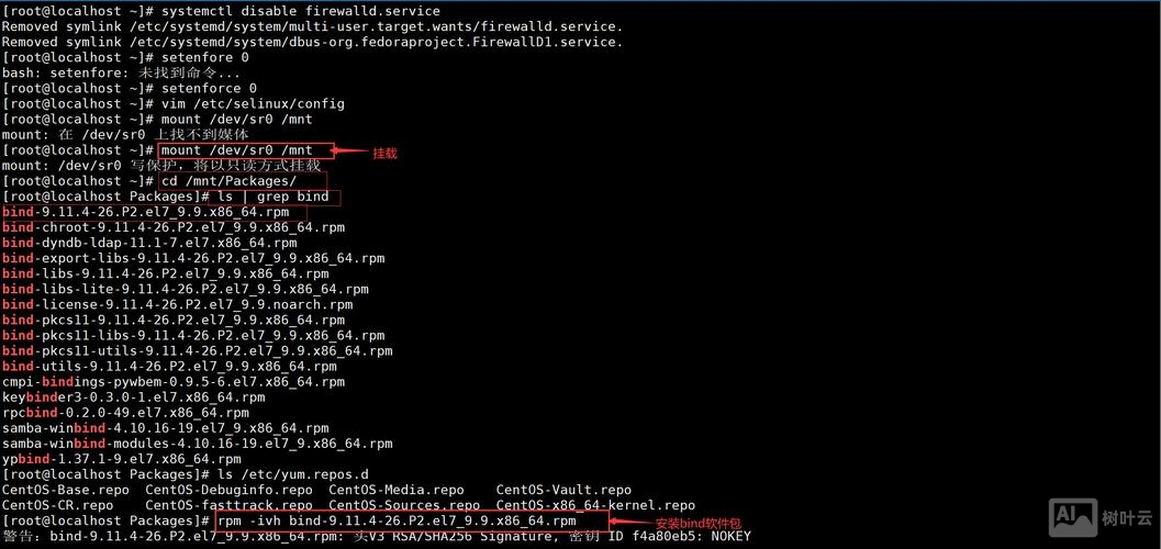 测试dns解析命令