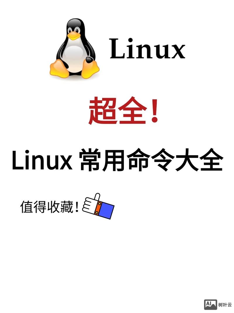 linux没有setup命令