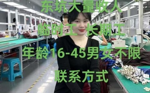 Meng模型招聘，需要哪些核心能力？