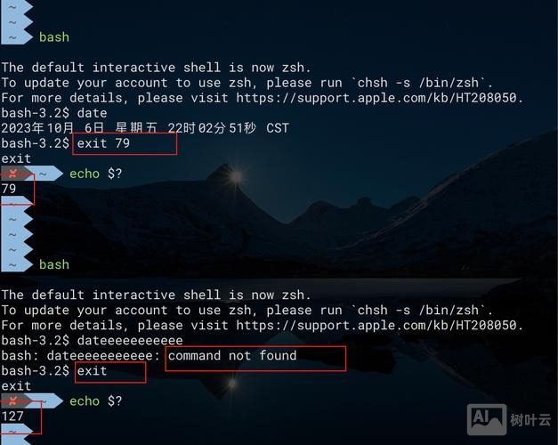 shell常见的命令