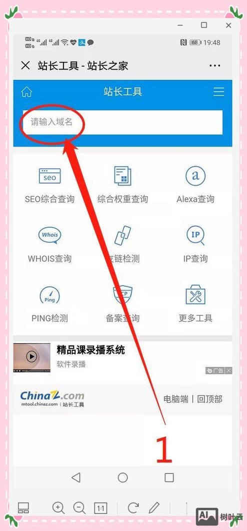 如何查域名站长信息