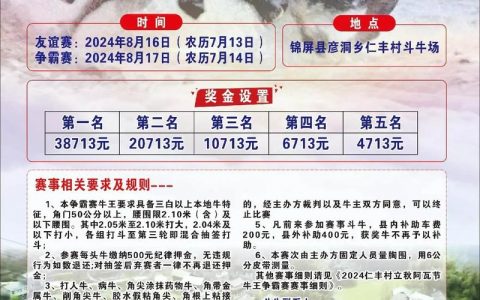 阿拉斗牛招聘，招什么岗位？