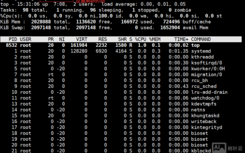 HP top命令如何高效监控进程资源？