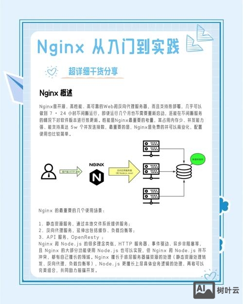 nginx t命令