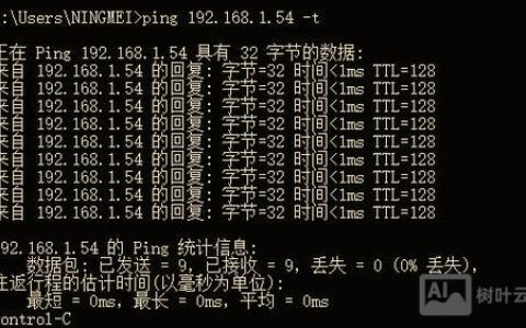 ping命令在线怎么用?