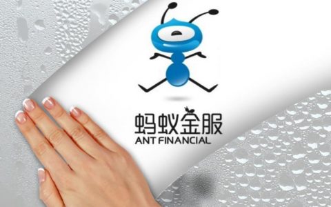 蚂蚁金福招聘有何具体岗位要求？