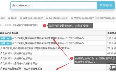 新网站如何快速生成快照?