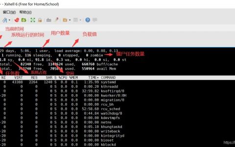 top命令实时监控进程与系统资源状态？