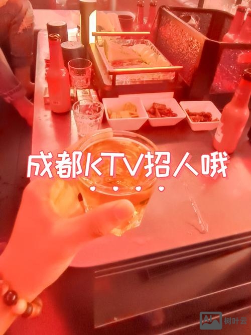 匣子ktv招聘