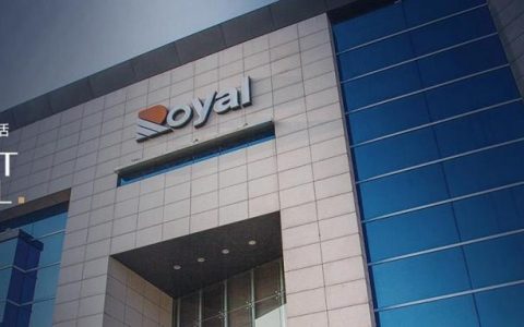 皇朝网络招聘，哪些岗位在招？