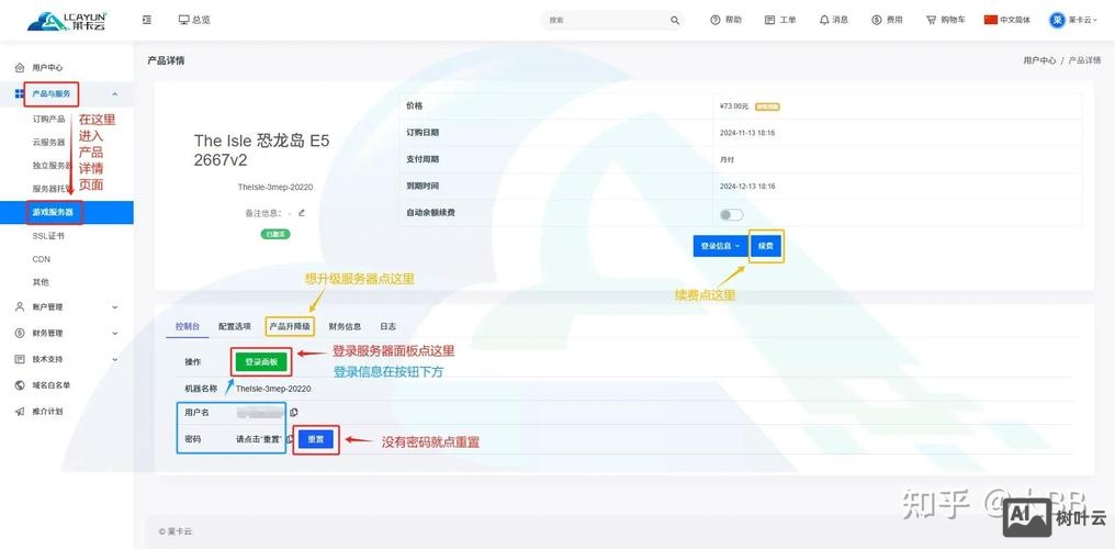服务器如何开vps