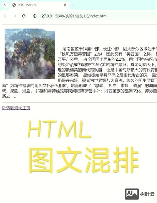 Html如何放大比例
